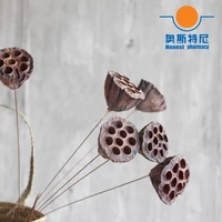 5pcs dried naturally flower bouquets small size naturally dired lotus seedpodseedpod of the lotus without seed