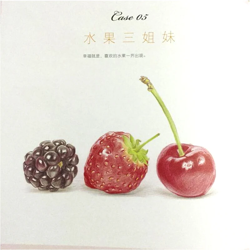 

100 examples of drawing time to color pencils book painting book,drawing book