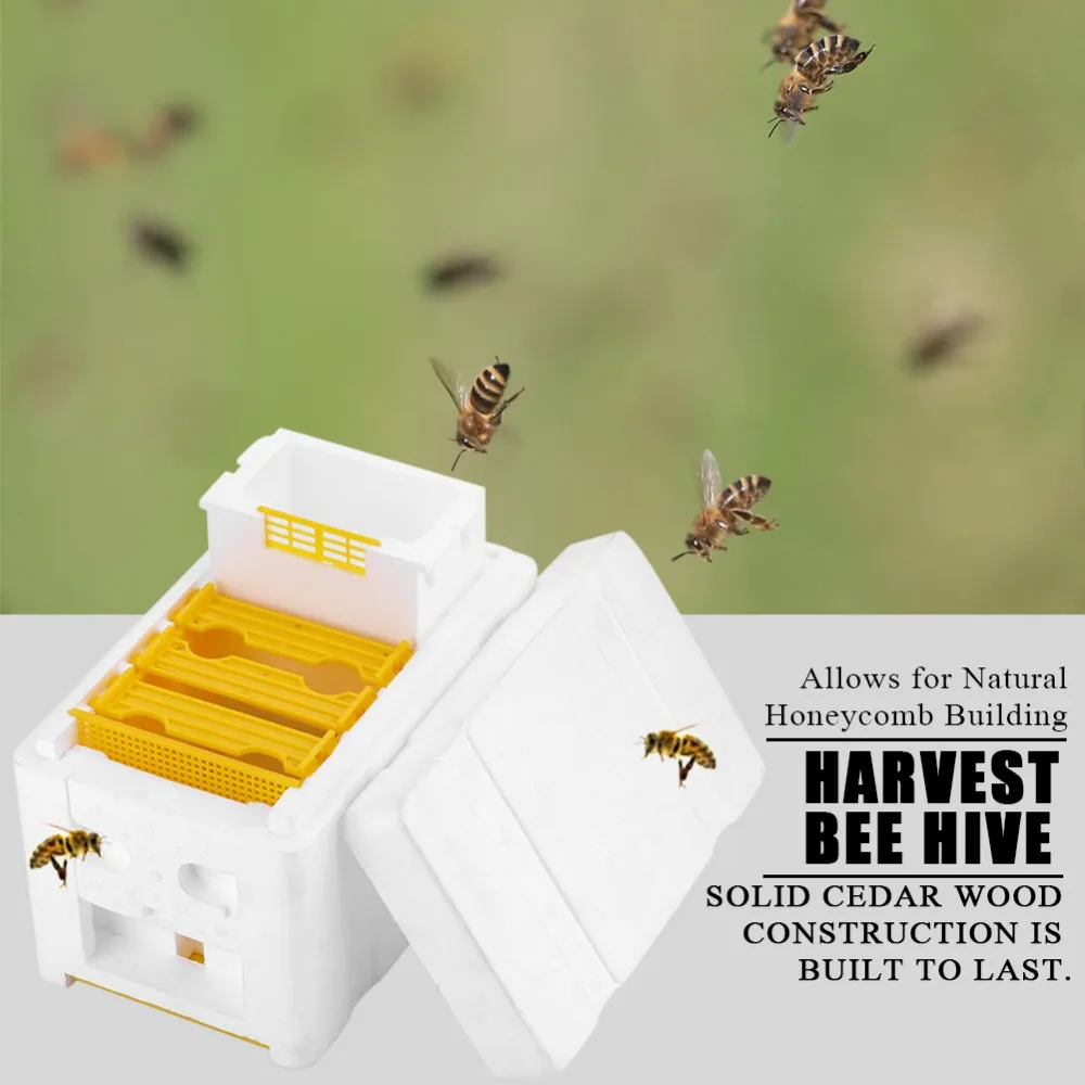 DLKKLB 1 комплект Hive с сопротивлением коробка Урожай пчелиный улей лангстрот