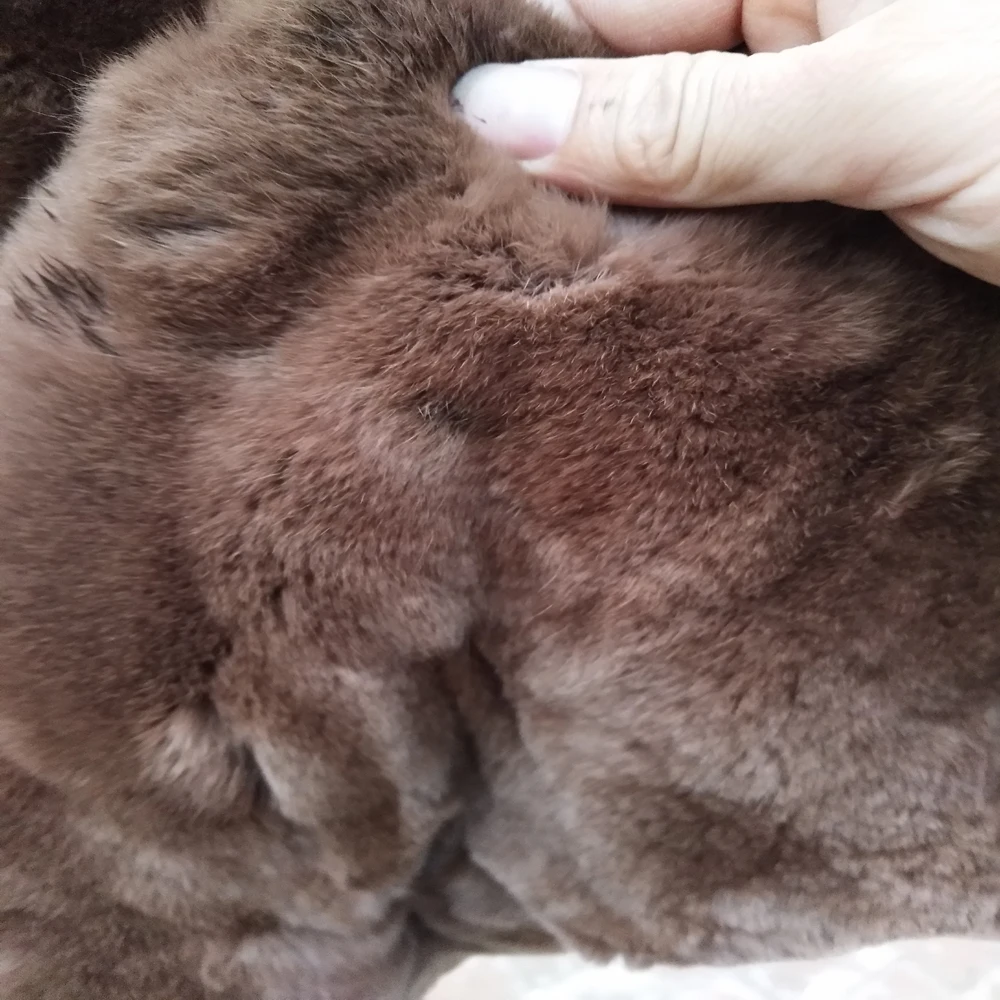 AAA лучшее покрытие из кроличьего меха Рекс коричневый ковер натурального одеяло