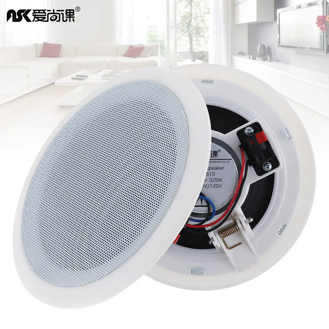 

2pcs 5 Inch 5W Fashion Microphone Input USB MP3 Player Ceiling Speaker Public Broadcast Background Music Loudspeaker for Home