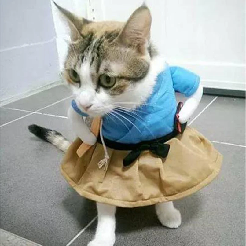 Новый Забавный костюм кошки Униформа кошка одежда Щенок Одежда одевание для