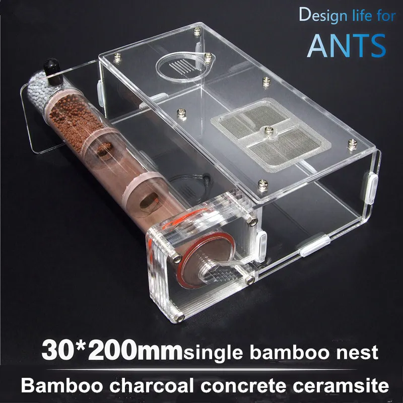 Pet ants профессиональное гнездо бамбуковое с активной областью Версия 30 мм ant