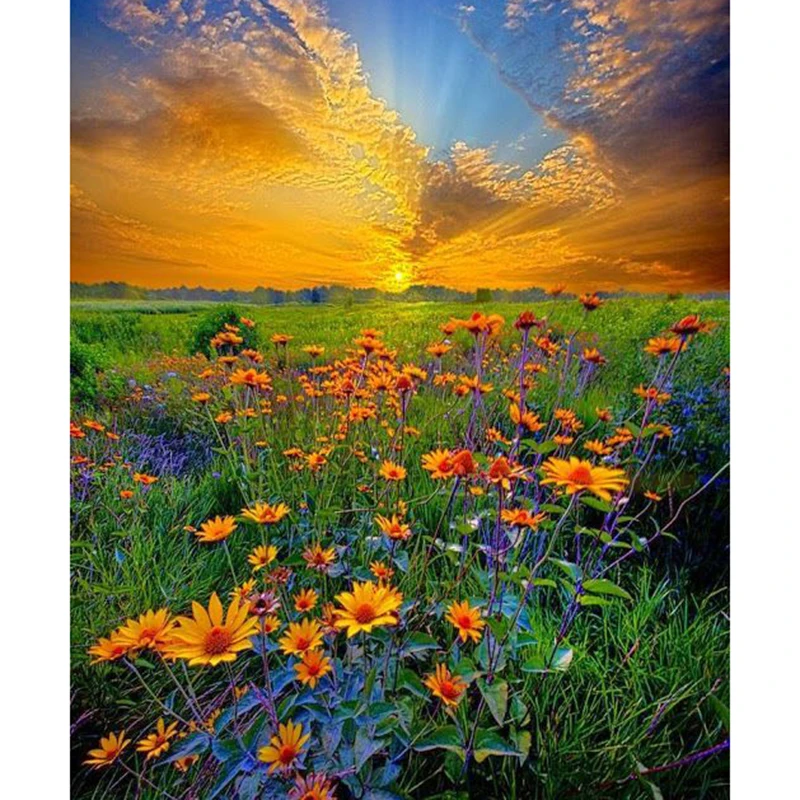 Алмазная 5D картина сделай сам с полными квадратными/круглыми стразами вышивка