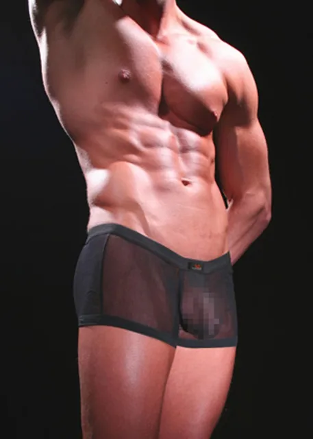 Mens See-Thru Underwear