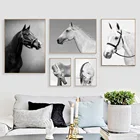 Лошадь мрамор алмазные цитаты настенная живопись холст скандинавские плакаты и принты черно-белые настенные картины для декора гостиной