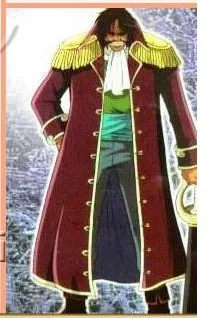 Цельнокроеный костюм для косплея Гол Д Роджер пиратский топ + брюки плащ шляпа 11 |