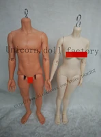 bjd 14 dolls body between male and female parts of the body
