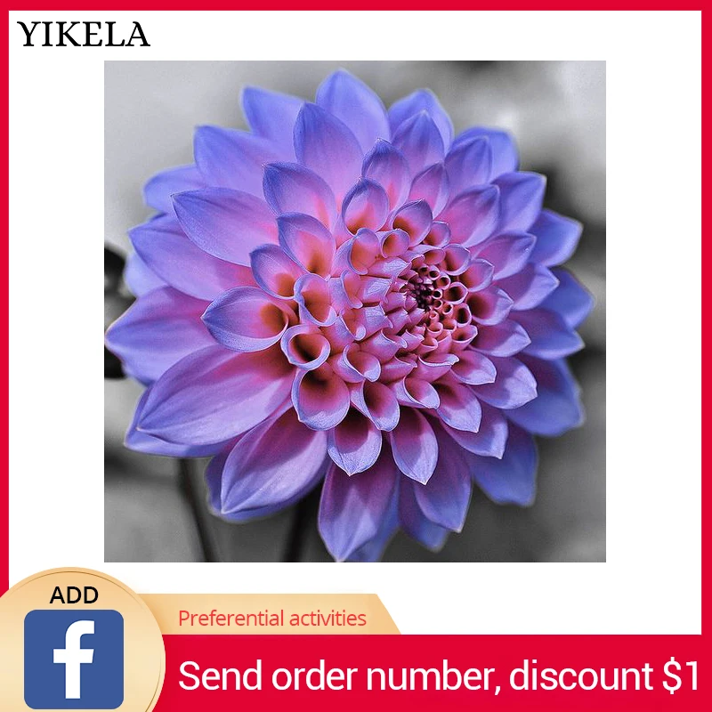 Полная квадратная 3D Алмазная живопись Георгин вышивка Стразы мозаика цветы