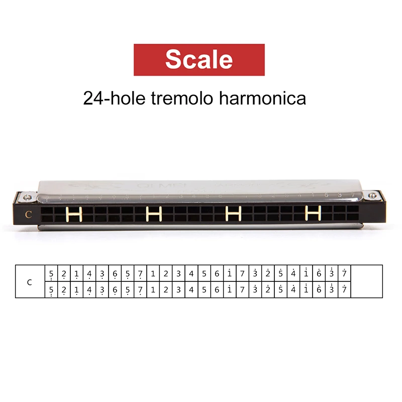 Tremolo Губная гармошка французская арфа рот Фосфорная бронза 24 Отверстия ключ