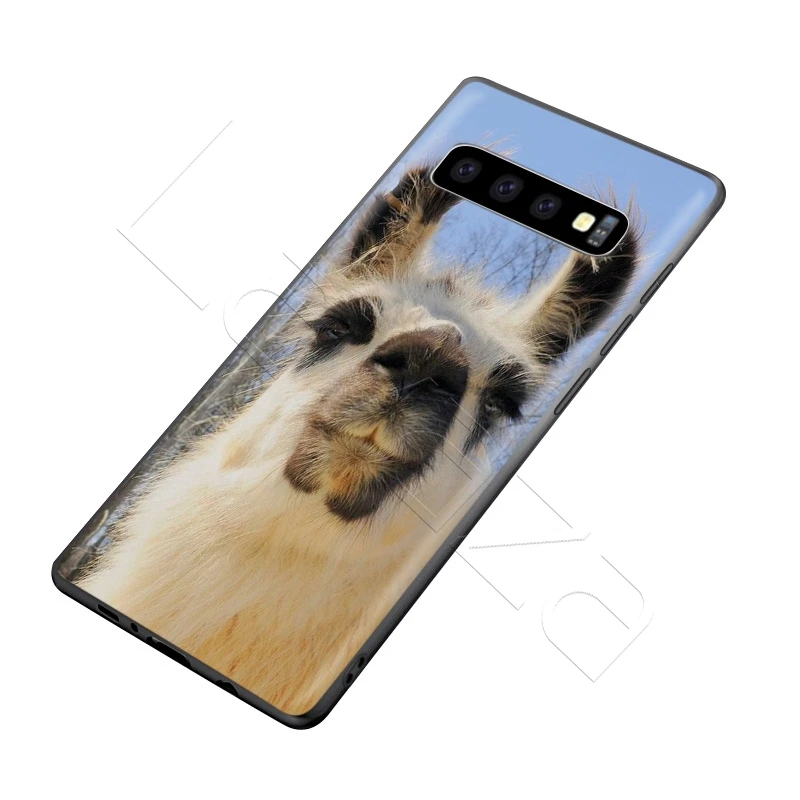 Чехол для Samsung Galaxy S20 S10 S9 S8 S7 S6 Plus Note 9 8 M30 M20 M10 Edge Lite Ultra|Бамперы| |