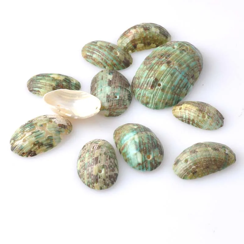 Зеленая натуральная спиральная Sicircle Seashell для ветряных колокольчиков аксессуары