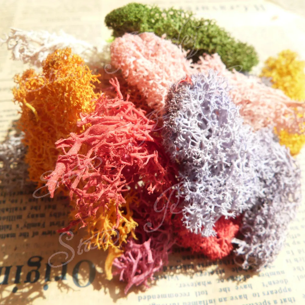 20 г/упаковка сухие консервированные окрашенные Мохи для улучшения цветов