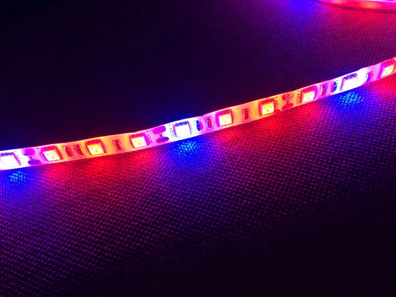 12V R & B полный спектр 5 м 300Led SMD5050 полосы светильник класса для ускорения роста