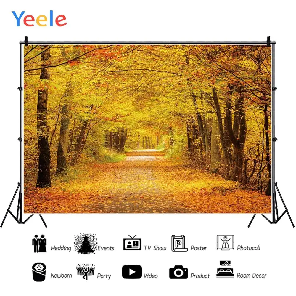 Фоны для фотосъемки Yeele свадебные обои осеннего леса дороги персонализированные