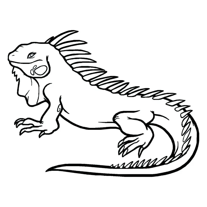 Яркие виниловые наклейки Iguana Iucertola для стайлинга автомобиля 24*18 5 см в виде диких
