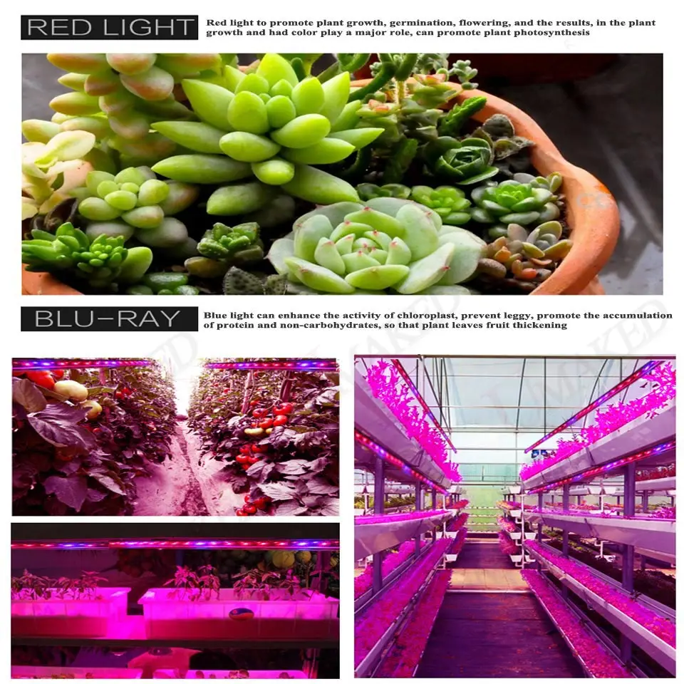 

5pc LED Grow Light SMD5050 660nm red and 440nm blue led lamp AC85-265V EU/US plug Adpter for hydroponics ,indoor plants Growing