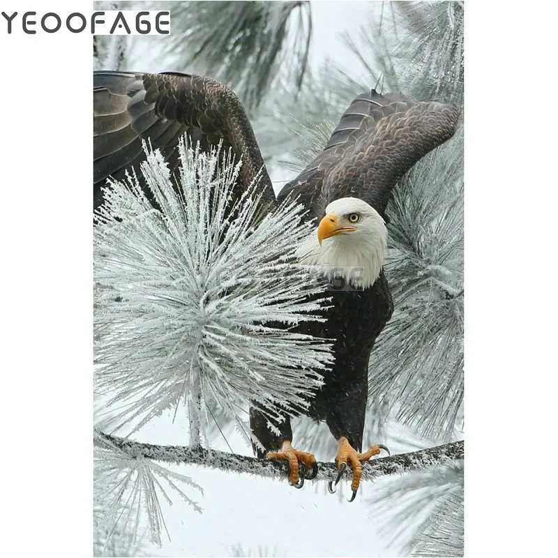 5D квадратная Алмазная вышивка Животное орел икона Стразы алмазная живопись