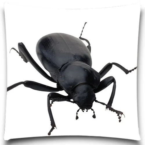 Квадратная наволочка для подушки Beetle/Spider декоративная дома офиса кофе