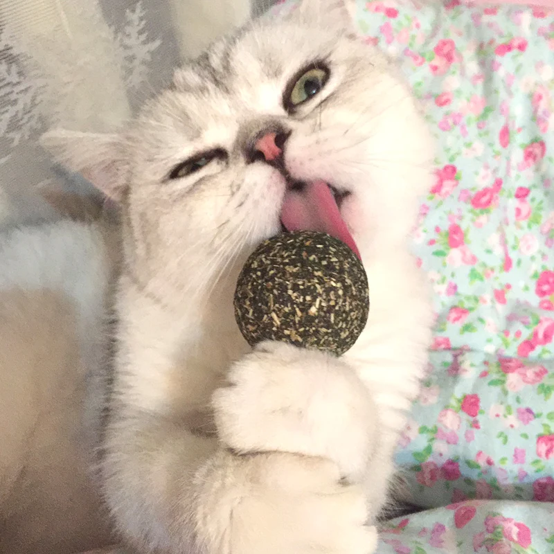 Натуральные дикие кошачьи закуски кошачий мячик для домашних животных мята