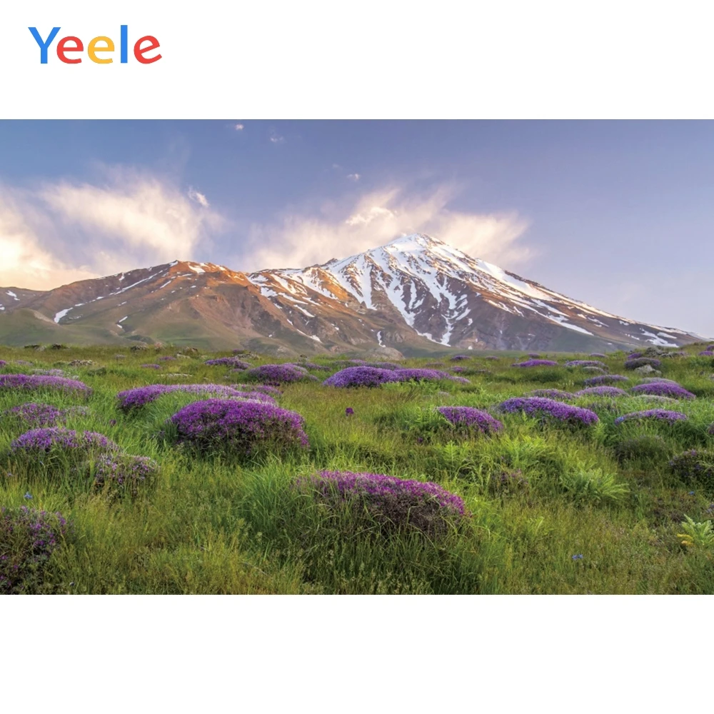 

Yeele пейзаж «закат» снежное крепление цветок живопись фотографии фоны персонализированные фотографические фоны для фотостудии