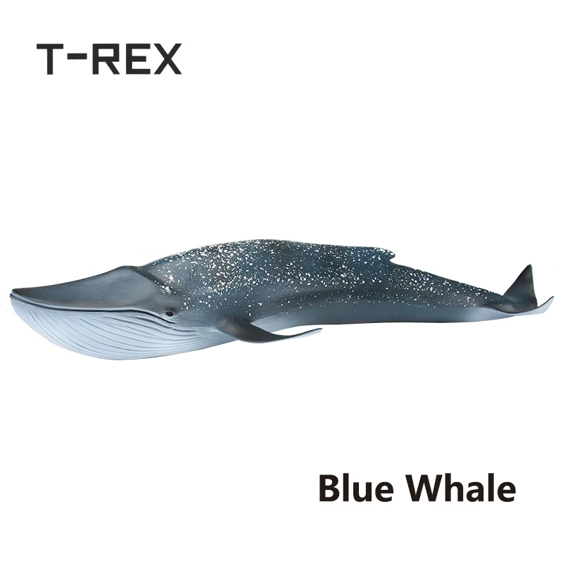 T REX 27 см ПВХ имитация морского Кита модель животного для детей человек против
