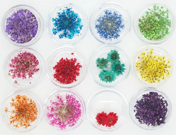 

Free Shipping 12 Colors/Set Dried Flower Nail Glitter Powder for Nail Decoration for Professional Salon Use