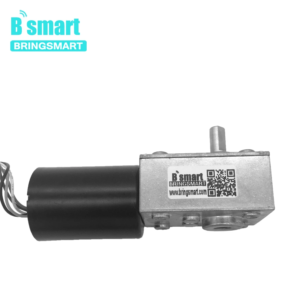 BLDC мотор 5840-3650 12V 24V с бесщеточным двигателем постоянного тока червь Шестерни мотор с реверсивным