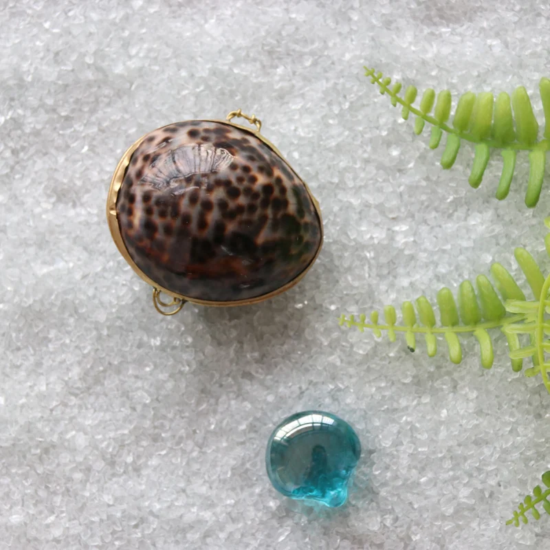 Бесплатная доставка (1 шт./лот) шкатулка из натуральной раковины Пляжная коробка