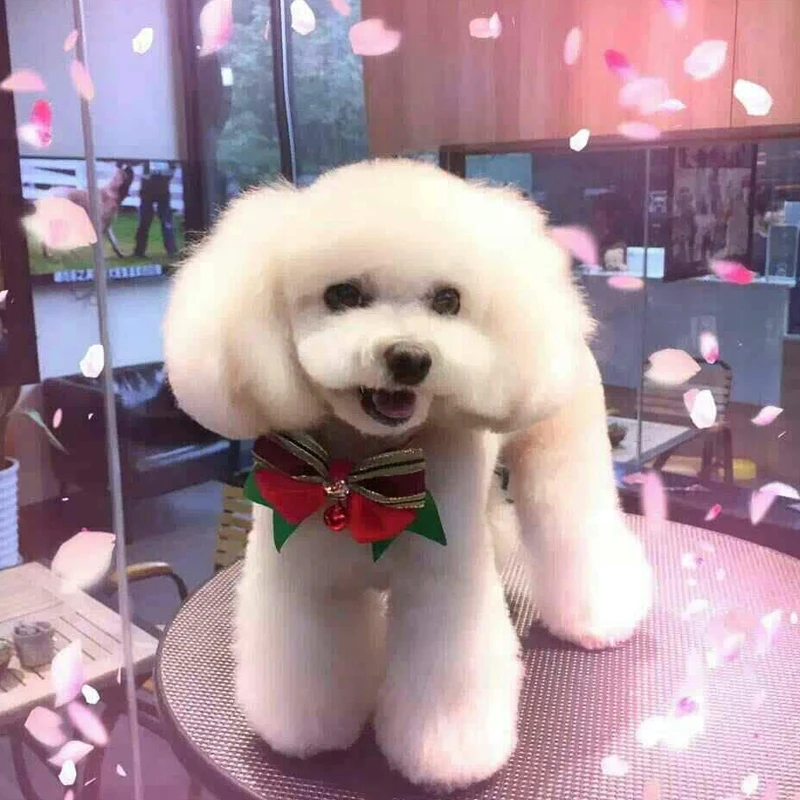 

Westrice All kinds Of Beautiful Colored Cat Bow Tie Free Shipping