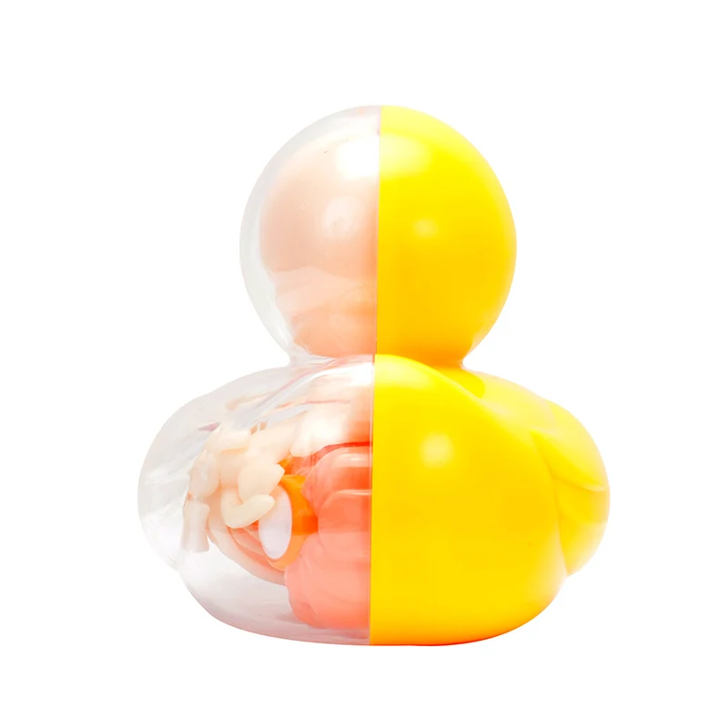

4D Small yellow duck Intelligence Assembling Toy Assembling toy Perspective Anatomy Model DIY Popular Science Appliances