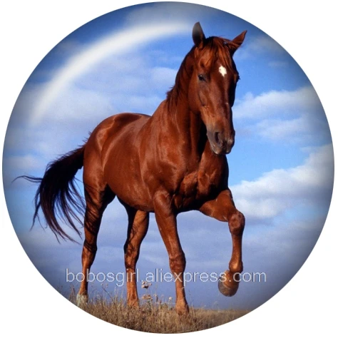 horse glass snap button for snaps jewelry Round photo cabochons DA1072 - Окраска металла: A4688