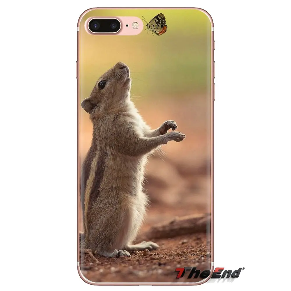 Прозрачные мягкие чехлы для Xiaomi Redmi 4A S2 Note 3 3S 4 4X 5 Plus 6 7 6A Pro Pocophone F1 Red Squirrel Sciurus vulgaris |
