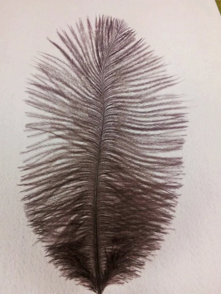 Распродажа высокое качество 10 шт./лот белое страусиное перо 6 8 &quot/15 20 см DIY