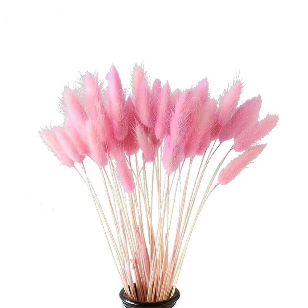 

50 Pcs Pink Color Dried Pampas Flowers Rabbit Tail Grass Bouquets Lagurus Ovatus Natural Plants Home Wedding Decor Bunches