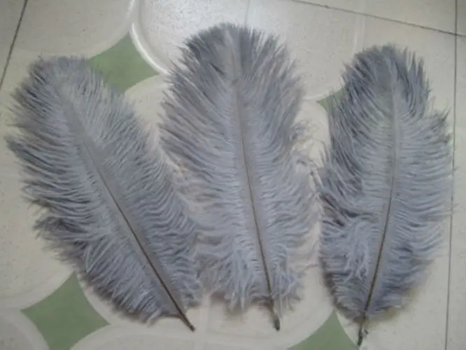 Идеально! Продажа 10pcs15-20CM Красивая трава зеленое страусиное перо DIY ювелирные