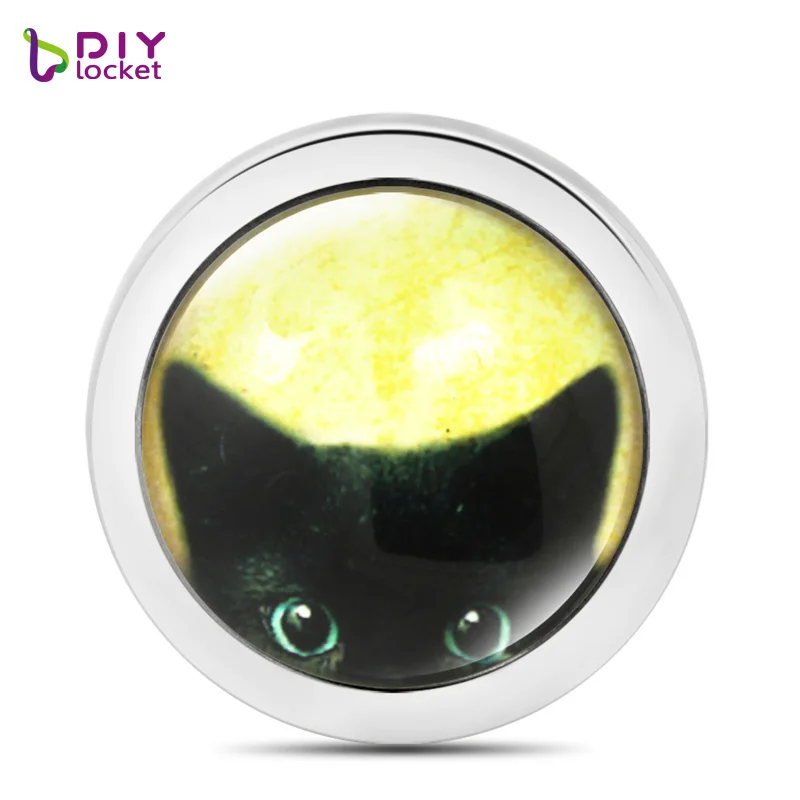 1 шт. Кот 33 мм моя монета валюта стеклянная Монета диск подходит для Moneda кулон