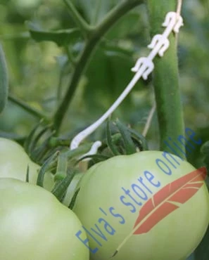 Пластиковые подвесные крючки для овощей 1000 шт.|vegetable shape|vegetable plantclip paper |