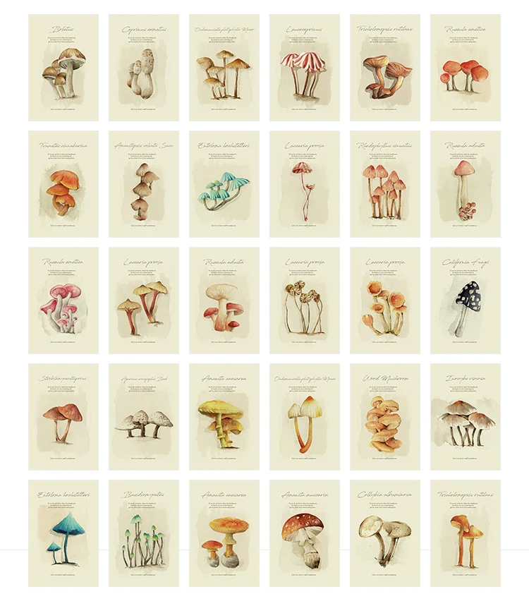 30 шт. гриб иллюстрации тема Карты multi использовать как Скрапбукинг вечерние