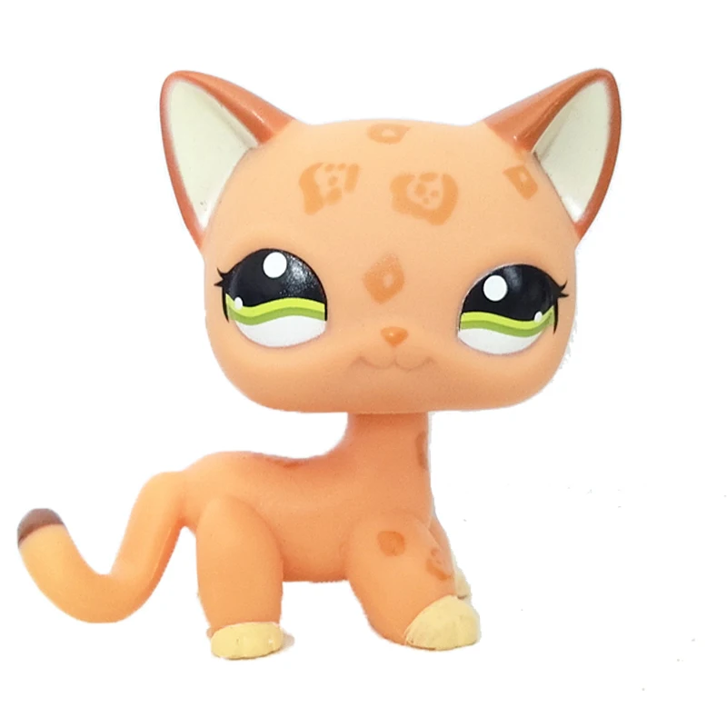 Магазин домашних животных милые игрушки короткие волосы кошка #1120 оранжевый
