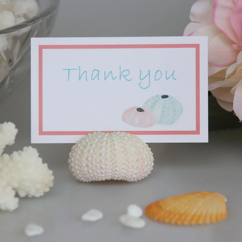 Бесплатная доставка супер красивое белое место для морской моревки держатель