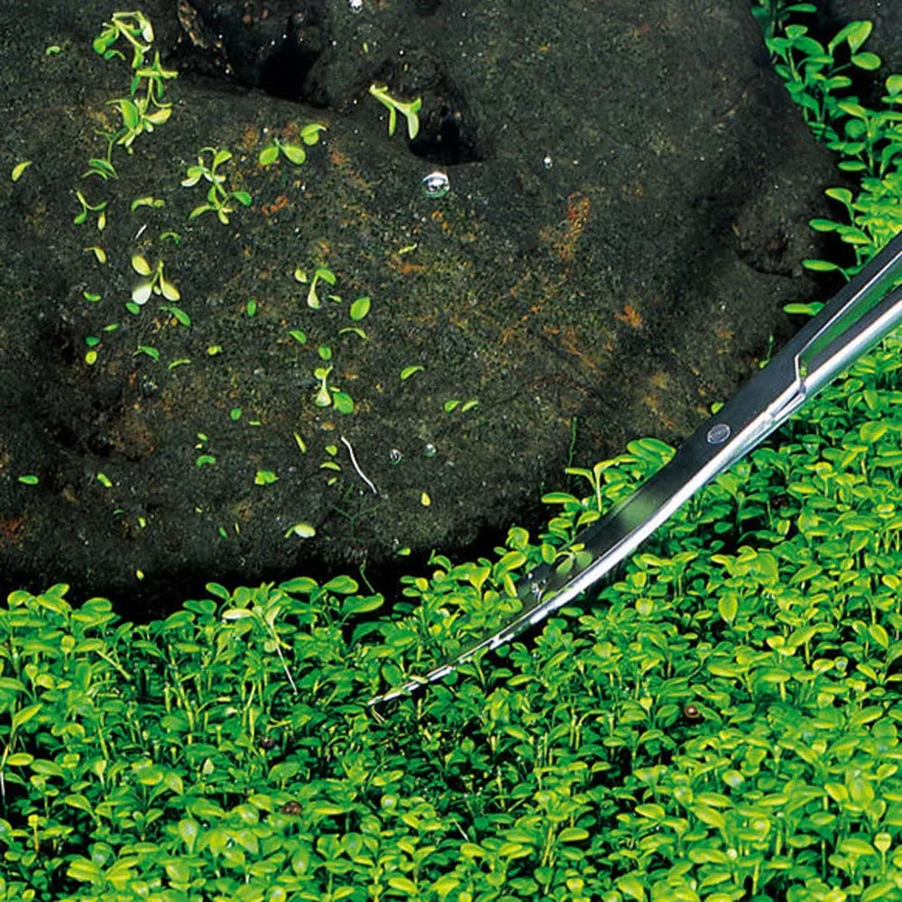 Ножницы для аквариума из нержавеющей стали | Дом и сад