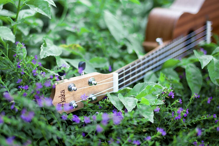 Бесплатная доставка акустическая guitars 23 дюймов укулеле гавайская гитара Гавайи