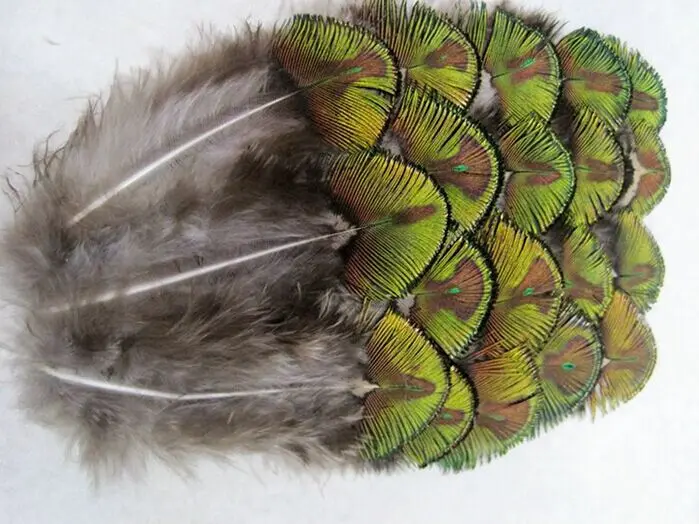 Wholesale 10 pcs beautiful 5-8 cm / 2-3 inches Natural golden peacock feather | Дом и сад