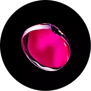 colour 8 Прекрасный Sika Олень Дерево медведь розетка Телефон кольцо ручка держатель многофункциональный разъем расширение гнездо для iPhone 8 7 6 Xiaomi - Цвет: colour 8