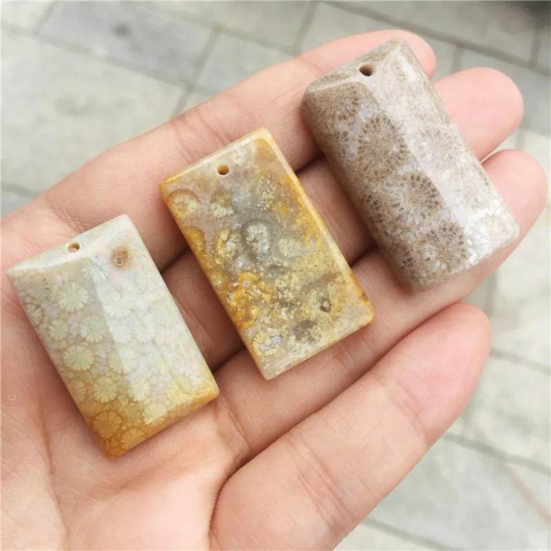 Красивый натуральный коралл окаменелый камень хризантемы прямоугольник