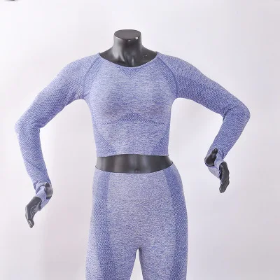 Blue Бесшовная Женская майка с длинным рукавом, топ для занятий йогой, Женская толстовка, топы для тренировок, женская спортивная одежда, спортивная футболка для фитнеса - Цвет: Blue