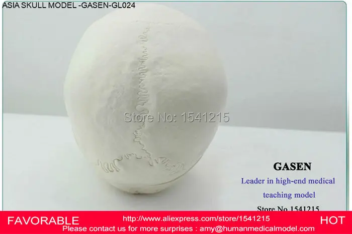 Медицинский учебный медицинский человеческое тело азиатское издание