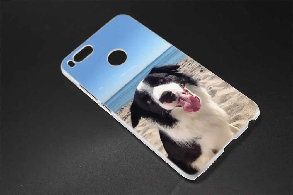 Мягкий силиконовый чехол Border Collie Dog для Xiaomi redmi 9a 8a 7a 6a 5a note 9 8 7 6 Pro 8t 9s y3|Бамперы| |