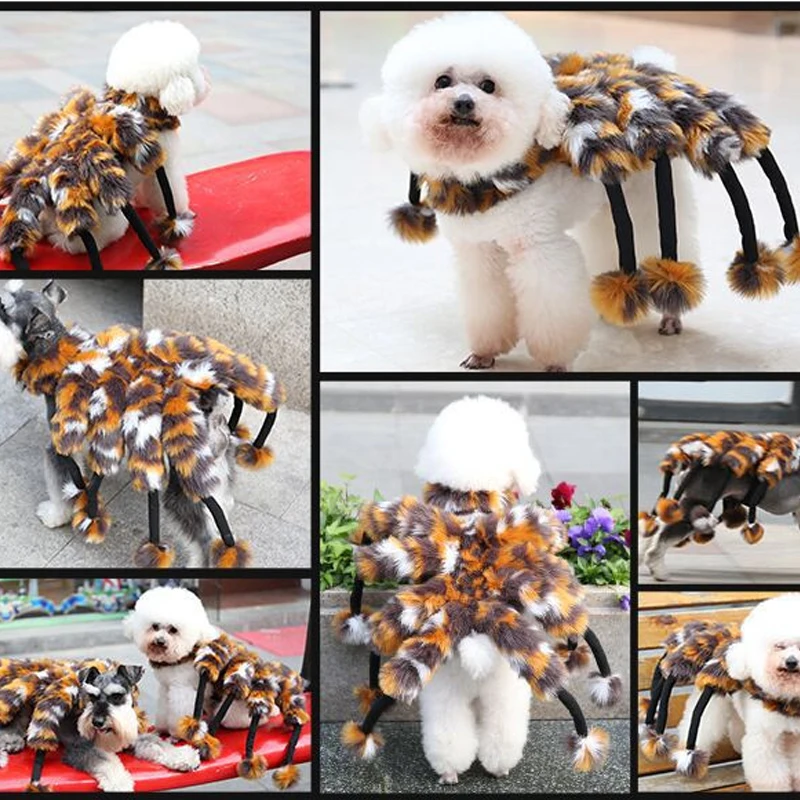Pider зима для собак для домашних животных для кошек пальто паук костюм одежда косплей для маленьких собак домашнее животное щенок одежда для вечеринки куртки ropa para perros